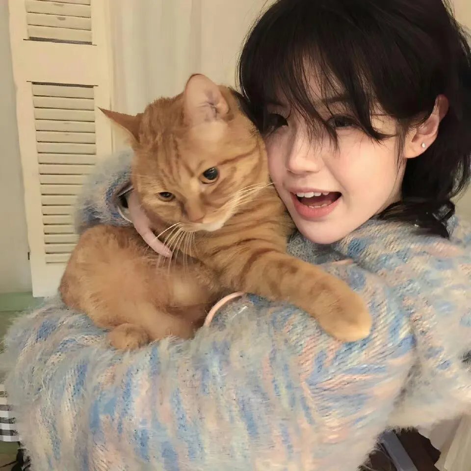 红色翅膀：火烈鸟故事